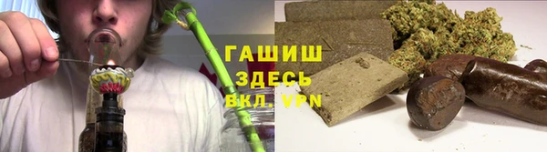 гидра Балахна