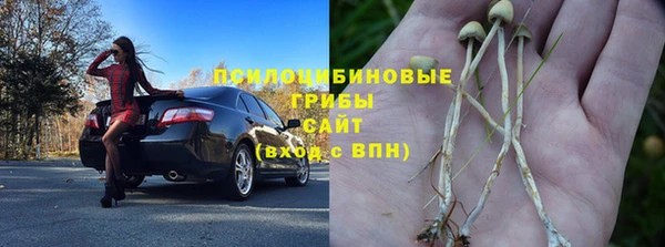 стафф Баксан